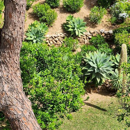 Elena Flat Lovely Paradise Above The Sea Sitio de Calahonda Esterno foto