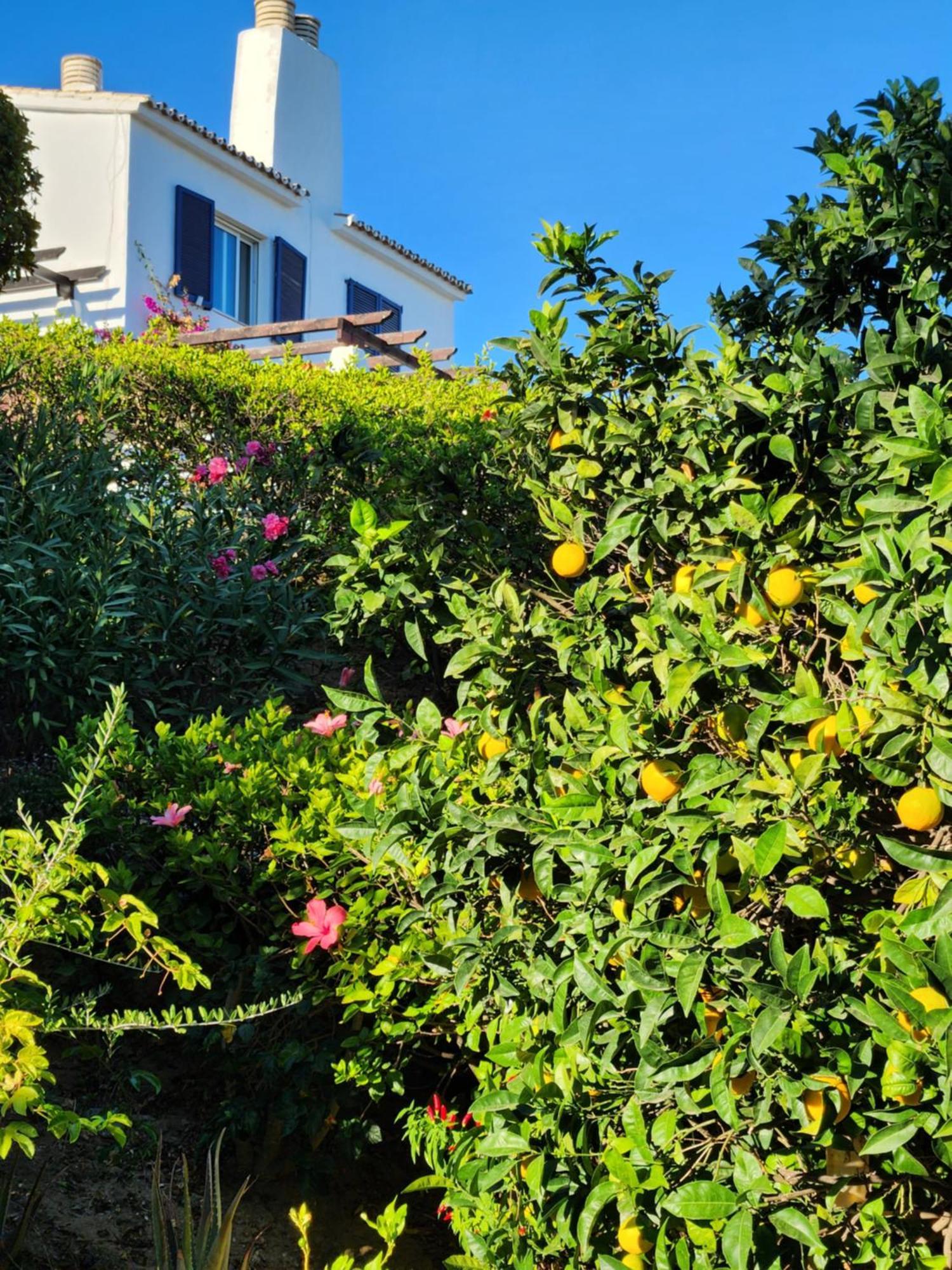 Elena Flat Lovely Paradise Above The Sea Sitio de Calahonda Esterno foto