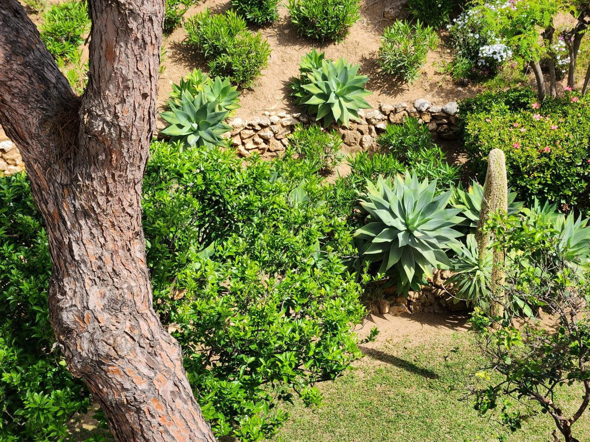 Elena Flat Lovely Paradise Above The Sea Sitio de Calahonda Esterno foto